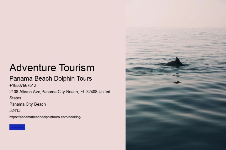Adventure Tourism Panama Beach Dolphin Tours Adventure Tourism