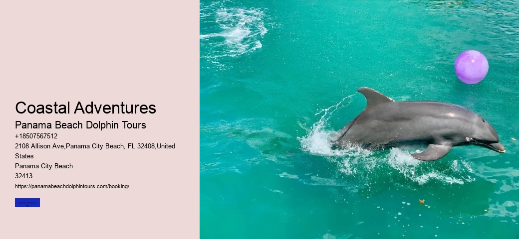 Ten Reasons Sharks Are Afraid Of Dolphins