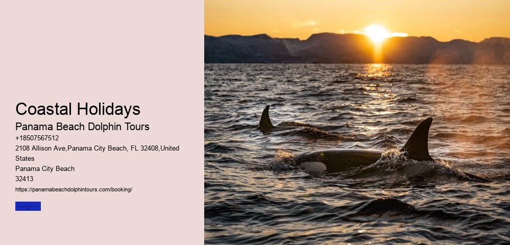 Coastal Holidays Panama Beach Dolphin Tours Coastal Holidays
