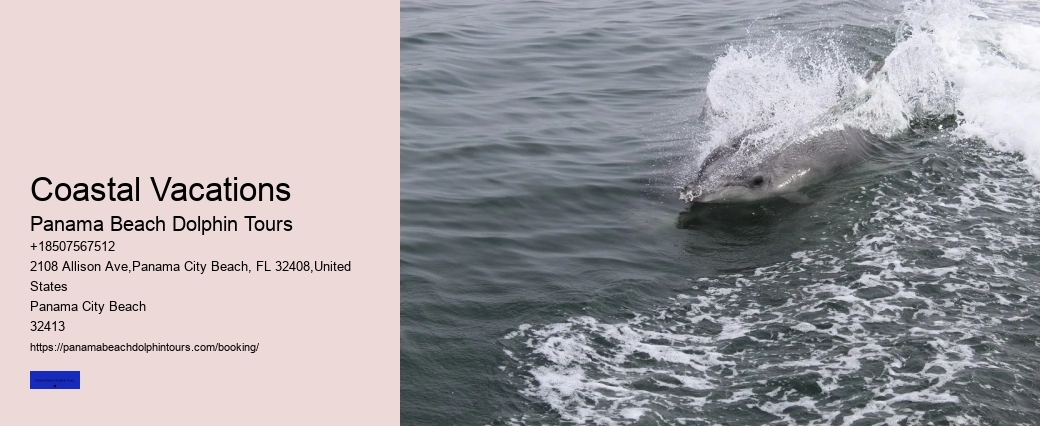 What Does The Seaworld Dolphin Encounter Include