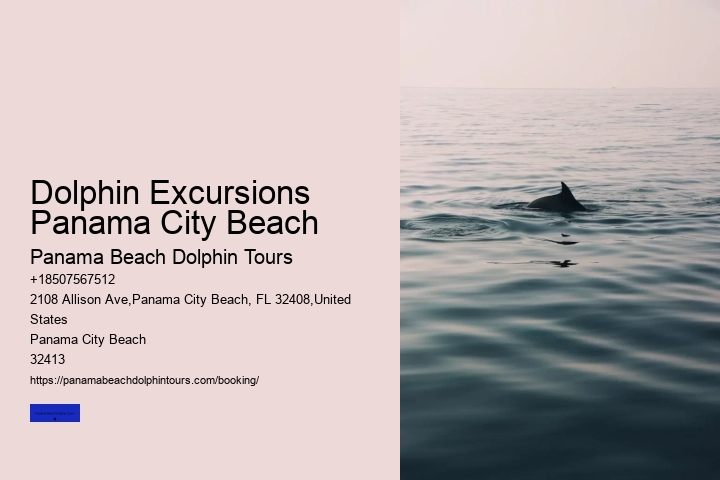Dolphin Excursions Panama City Beach Panama Beach Dolphin Tours Dolphin Excursions Panama City Beach