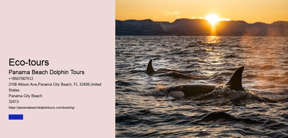 Eco-tours Panama Beach Dolphin Tours Eco-tours