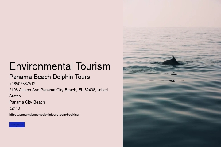 Environmental Tourism Panama Beach Dolphin Tours Environmental Tourism