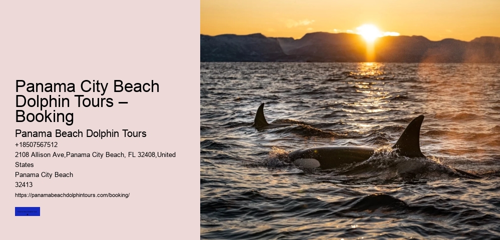 Panama City Beach Dolphin Tours – Booking Panama Beach Dolphin Tours Panama City Beach Dolphin Tours – Booking