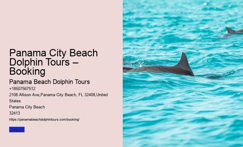 How To Visit Shell Island In Panama City Beach