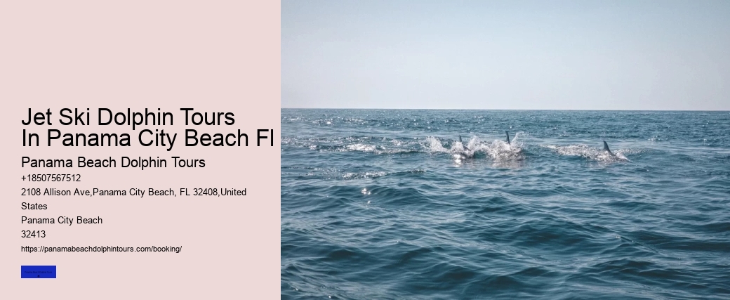 Jet Ski Dolphin Tours In Panama City Beach Fl Panama Beach Dolphin Tours Jet Ski Dolphin Tours In Panama City Beach Fl