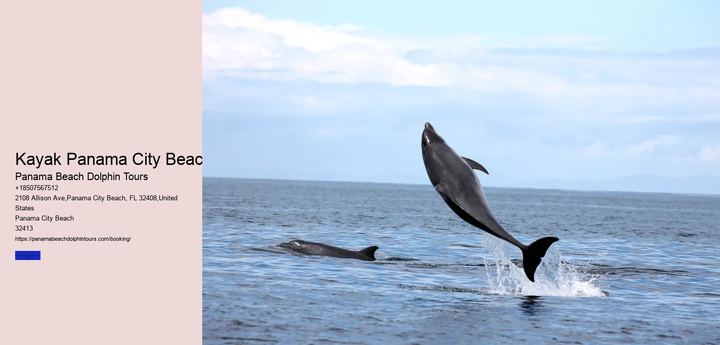 Kayak Panama City Beach Panama Beach Dolphin Tours Kayak Panama City Beach