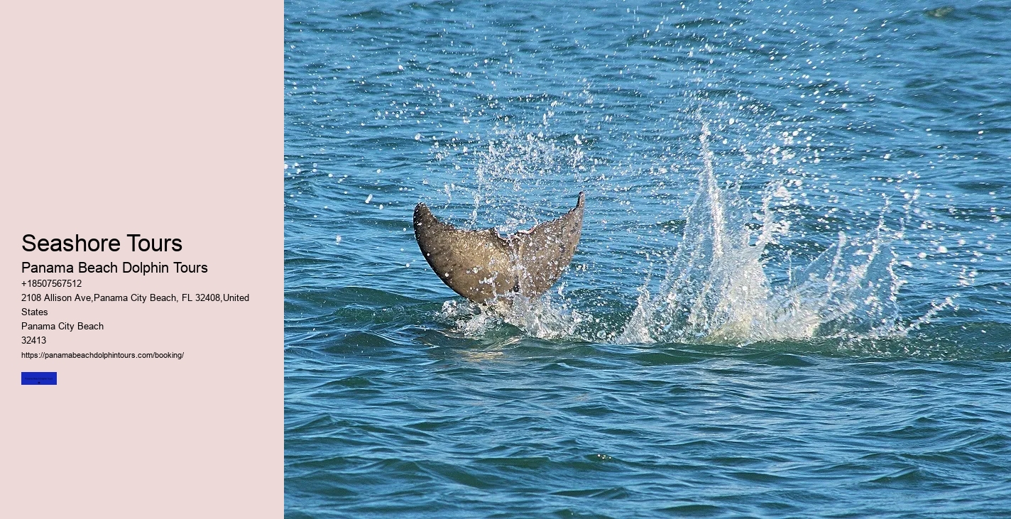 Best Dolphin Cruise Panama City Beach