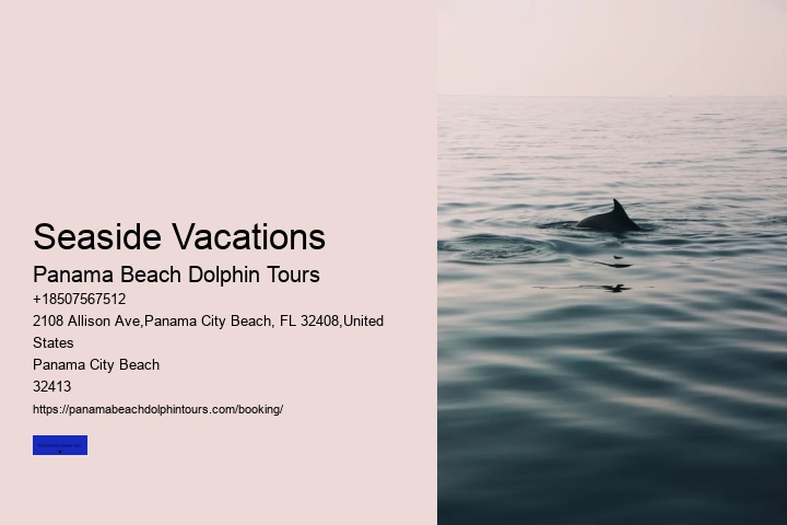 Seaside Vacations Panama Beach Dolphin Tours Seaside Vacations
