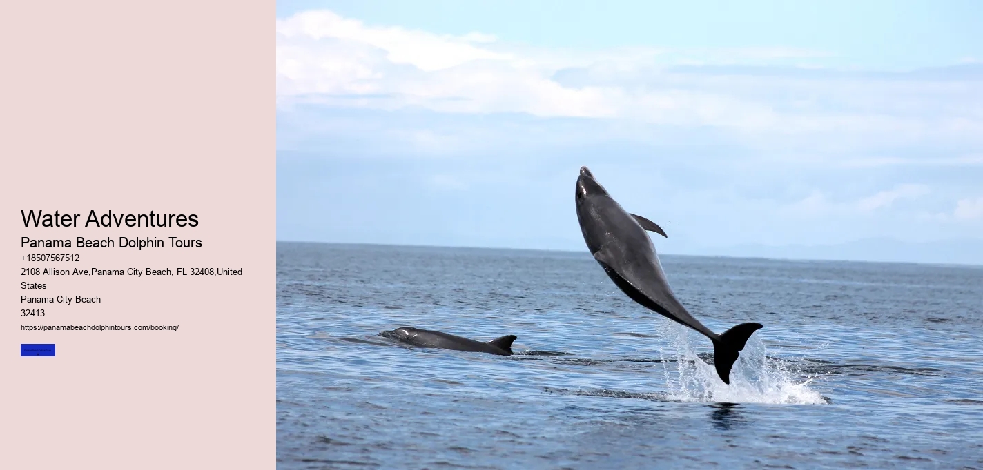 Water Adventures Panama Beach Dolphin Tours Water Adventures